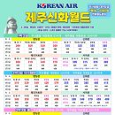 신화항공여행사