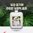 멜론플러스 | [사용후기]멜론 하우스 노균병에 왁스플러스!