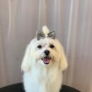 큐티살롱 이미지