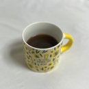 몽연 | 잠 잘 오는 겨울 한방차 추천 몽연 숙면차 솔직 후기