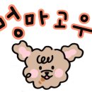 멍마고우 네이버블로그