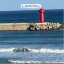 I-1 | 강원도 양양 오션뷰 카페 P.E.I coffee 내돈내산 후기