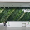 상당구청사 이미지