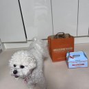마곡 디저트카페 추천｜요즘 핫한 우베라떼 맛집 펠어커피초코 마곡점 후기