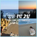 샘물다방 | [강릉 여행] 1박 2일 맛집•카페•숙소•가볼 만한 곳 코스 추천