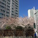 경대교 주변 이미지