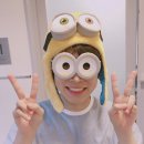 광블리 이미지