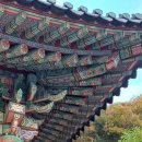 홍천가볼만한곳 공작산 수타사 산소길 생태숲