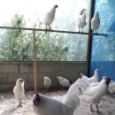 (주)풍건 이미지