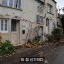 부르고뉴 와인경매(예쁜 본느 에어비앤비 추천, 환상적인 본로마네 레보몽 프리미에 크뤼 와인 후기) 🍷