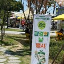 2026 환경의 날 행사 자원순환 물품 교환 후기
