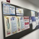 일자리종합센터 화장실 | 일자리종합센터 AI 수업 마무리 후기 (8~9회차) 🌿