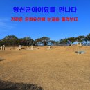 영신군이이묘 이미지