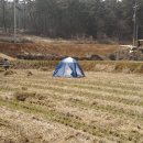 임피농장 이미지