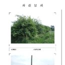 장촌리 이미지