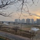 영롱이인라인 이미지