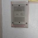 산호비디오 이미지