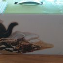 심준보한의원 이미지