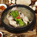 닭한마리오리한마리