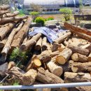 정자나루 | 강촌 맛집 전통있는 가마솥 설렁탕 인상적인 정자나루