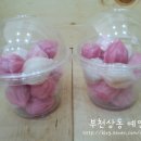 예인떡집