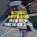 세상을피우다 이미지