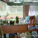 꿈의궁전 이미지