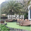 에이치비차앤우 | 제주 서귀포 산방산뷰 대형카페, 원앤온리 내돈내산 솔직후기(장단점)