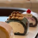 애견시선 이미지