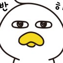 파트너상용모터스 이미지