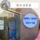창현종합카써비스 | 앵무새 분양 체크리스트 - 버드소리 남양주점 퀘이커 분양 후기