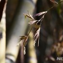 설천면120 이미지