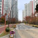 현촌초등학교 정문 이미지