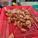 대성 D.C 마트 이미지