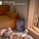 루디앙쥬