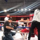 진정식복싱클럽 이미지