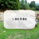 미소더예쁨치과의원 이미지