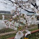 하방천변길 이미지