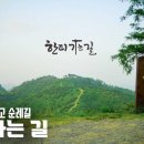 다시 찾은 한티가는길, 자연을 만나고 사람을 만나고 나를 찾는 45.6km의 도보순례길 이미지