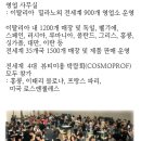 헤어스크린본점 Daum카페