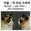 머즐(Muzzle) 이미지