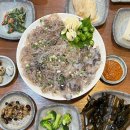 식감산오징어