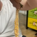 지리산수피아펜션 이미지