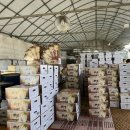 주홍농장 이미지