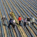 의령남강 이미지