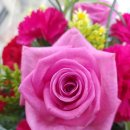 네오 미용실 이미지