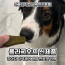 (주)신기사 | 강아지 치석 제거 대형견 개껌 플라그오프 민트 맛