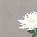 이 이비인후과의원 이미지