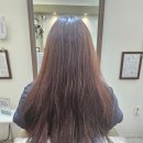 [의정부봄날헤어] 용현동미용실 염색 후기✨ 데이트 전 시술도 완벽!