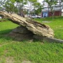 연천차탄리고인돌 이미지